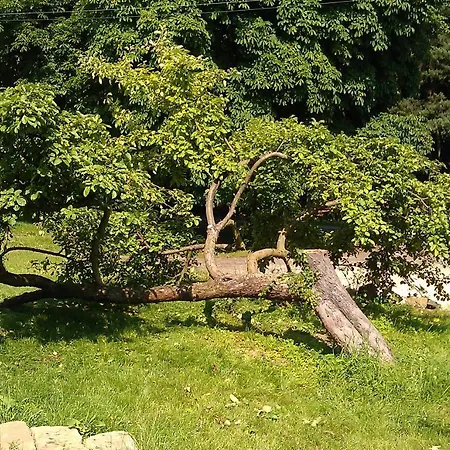 Pensjonat Slunecno Dobšín