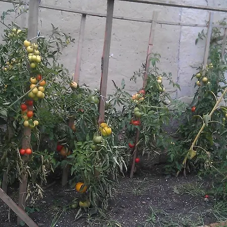 Slunecno Pensjonat Dobšín