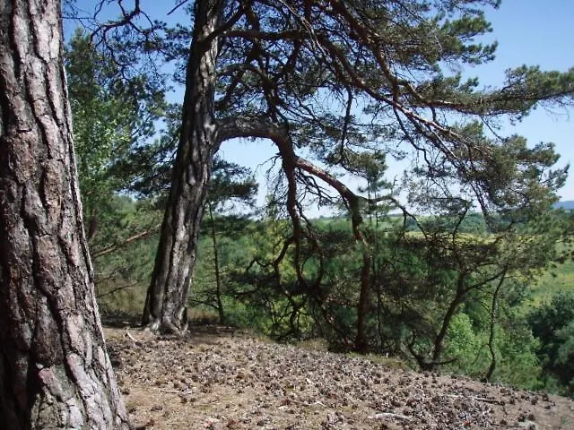 Slunečno